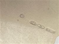 Secchio Champagne Floriddia Gioielli in Argento ARG385 - ARG385